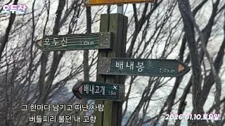 2026년 1월 11일