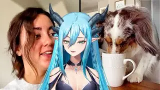 She Set Him Up (Daily Dose of Pets React)