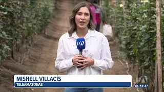 Ecuador exportó más de 28 mil toneladas de rosas