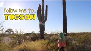Road Trip to TUCSON & back! | CoralReefer, Mio & Daffodil