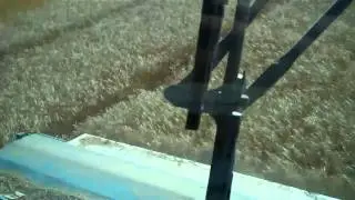 Stripper Header on Combine   Harvesting Wheat