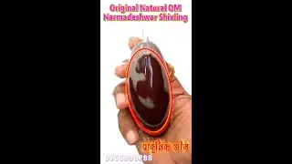Narmadeshwar Natural OM Shivling I 100% Real Original Natural OM I