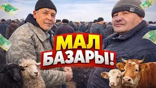 МАСҚАРА😱САУДА! 14-ЯНВАР 2026 КАРАӨЗЕК МАЛ БАЗАРЫ БАХАЛАРЫ