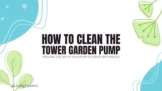 How to Clean the Tower Garden Pump in Two Minutes or Less!