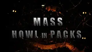 GOLDEN JACKAL PACK Midnight Howling  / Jackal Sound, Jackal Howling , Coyote Howl