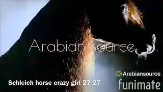 Medieval warfare~ horse music video