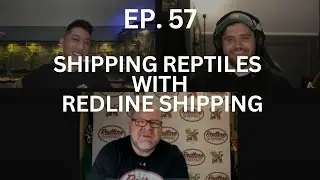 Shipping Reptiles w/ Redline Shipping | Ep. 57 of The Gecko Pod