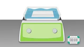Quick Tips: Optimizing the Blocking Step in Western Blotting