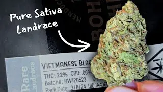Cali Weed Strain Review #15 | Trying Extremely Rare Exotic Weed! Bohemian Chemist's Vietnamese Black