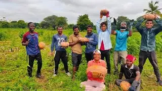 Summer work in Spicer Adventist University: campus Farm.