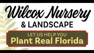 Welcome to Wilcox Nursery!