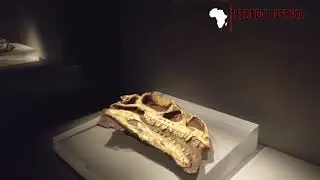 The Untold Truth About Freedom Park Museum in Pretoria!