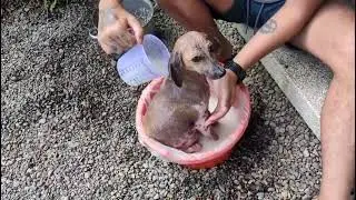 Oatmeal Bath for Emma and Mia