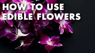 How to Use Edible Flowers - Technique Video