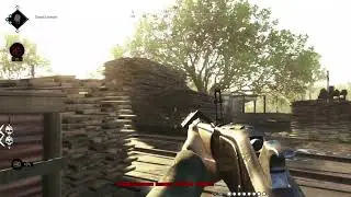 hunt show down with balistic blue and Silvern Skull Games