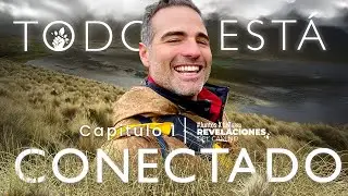 &iexcl;Todo est&aacute; conectado! El inicio de la aventura | JuntosXlaTierra - Cap&iacute;tulo 1 | Roberto Manrique