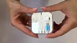 Гарнитура HOCO L9 Apple  Lightning вкладыши