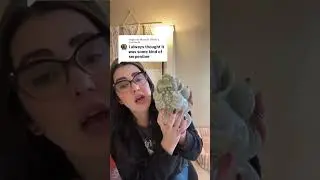 Crystal Identification Reveal: This Money Toad Isn&rsquo;t What You Think