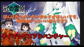 色違いが出る夢をみた　ダイアドジガルデ色違い厳選　#64