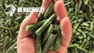 Alfalfa Feed Pellet Production Line High Efficiency Grass Pellet Machine for Sale#pelletmachine