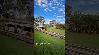 Beautiful Adelaide Bus o-bahn. Follow @sigorvision