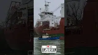 Crazy Climb Passenger Late for Amsterdam Bound Freight Ship Boards While Moving on Welland Canal