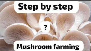 Step by step for starting mushroom farming and make millions in 2026 