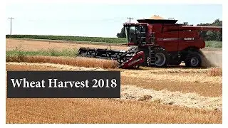 Wheat Harvest 2018:  Vlog 90