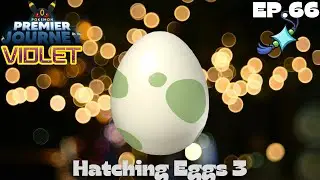 Hatching Eggs 3 - Pokemon: Premier Journey - Violet - Ep.66