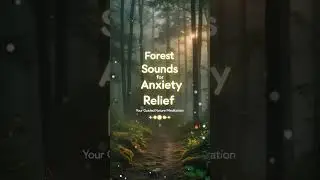 Forest Sounds for Anxiety Relief: Your Guided Nature Meditation