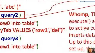 Python Programming SQL Lesson13