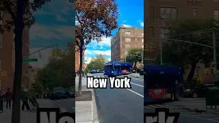 Windy Morning in Jackson Heights. 🍃🍂 #newyork #nyc #shorts