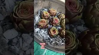 Carciofi alla Brace #bbq #food #cucina a#cucinaitaliana #cucinafacile #barbecue #carciofi #verdure
