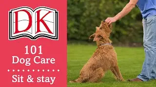 101 Уход за собакой: как научить собаку командам &laquo;сидеть&raquo; и &laquo;стоять&raquo;