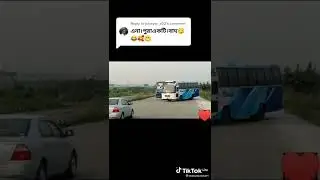 Ena Bus