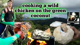 Cooking a wild chicken on the green coconut (bushcraft survival skills) catch and cook