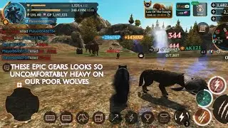 The Wolf - 4K vs PvP ( 4M PvP ) THE WOLF ONLINE SIMULATOR