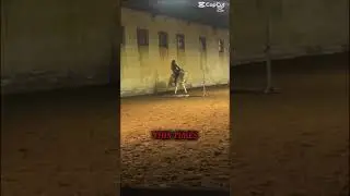 Fajne te moje faile🤣😂 #horse #equestrian #wybijesie #horseriding #fail