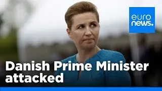 Danish Prime Minister Frederiksen assaulted in Copenhagen | euronews 🇬🇧