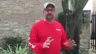 What's the Cost of Termite Treatment in San Antonio - BUGCO Pest Control