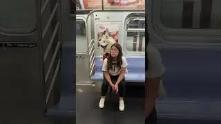Dogs ride the NYC subway in backpack!? #nyc #samoyed #dog #shorts