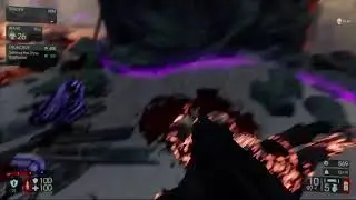 Zed hunt