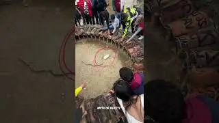 When the Rabbit Decides Your Fate!