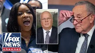 'DEEP DIVISIONS': Democrats revealed 'struggle' within party, Rove says