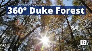 360&deg; Duke Forest