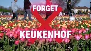 The Dutch Tulip Route They Don&rsquo;t Tell Tourists About