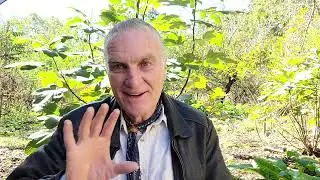 309/365 11-5-25 Thru A Course In Miracles w/ Will-E. Lacinato Kale, Sidda
