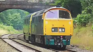 *Diesel Hydraulics* Trains in Sutton Park - 23/7/2025
