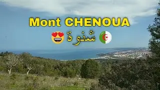 DISCOVER CHENOUA MOUNT TIPASA 🇩🇿 | إكتشفوا جمال جبل شنوة تيبازة