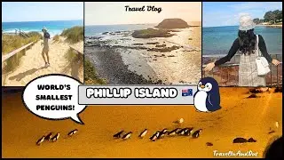 Phillip Island Vlog 🐧 | World&rsquo;s Smallest Penguins & Stunning Beaches | TravelInAndOut